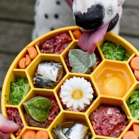 gamelle anti-glouton pour chiens honeycomb