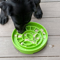 gamelle antiglouton pour chien sodapup etray garden