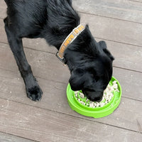 gamelle anti-glouton pour chien sodapup garden