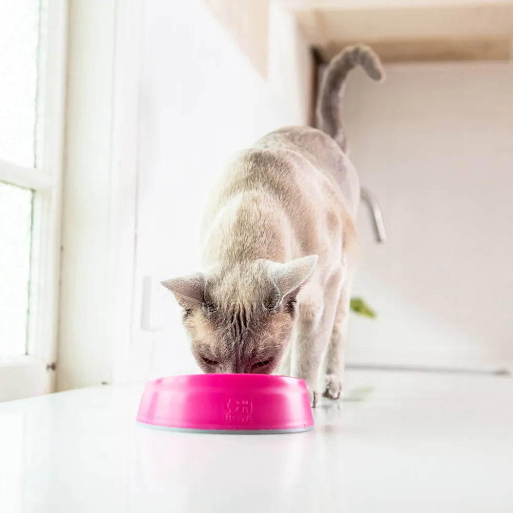 Lickimat OH Bowl – Gamelle à lécher pour chat