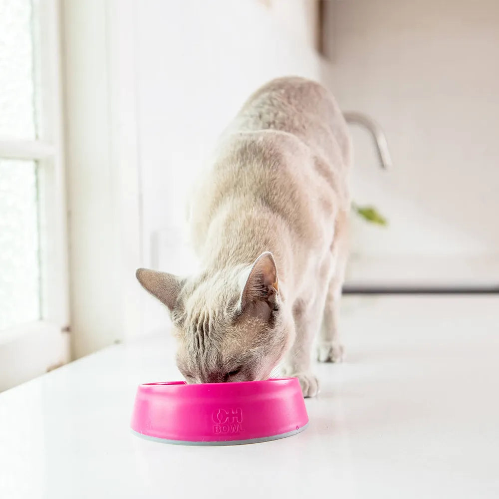 Lickimat OH Bowl – Gamelle à lécher pour chat