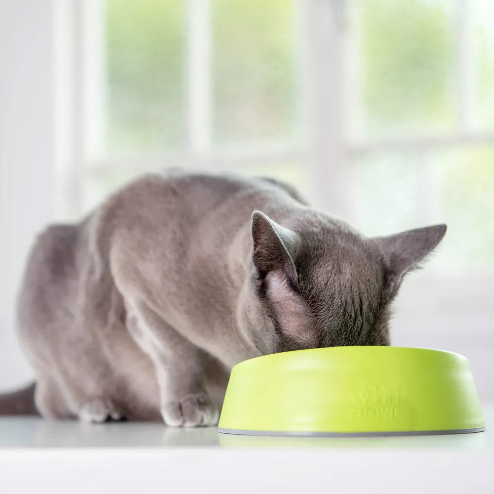Lickimat OH Bowl – Gamelle à lécher pour chat