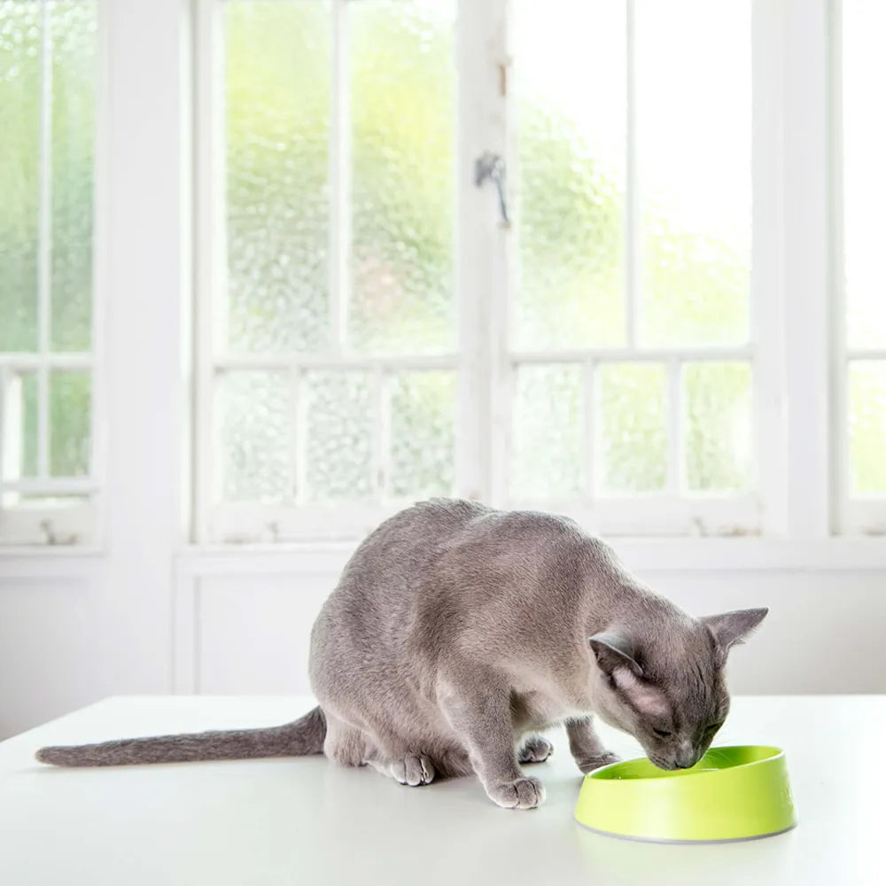 Lickimat OH Bowl – Gamelle à lécher pour chat