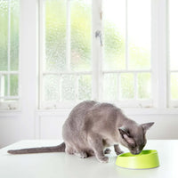 Lickimat OH Bowl – Gamelle à lécher pour chat