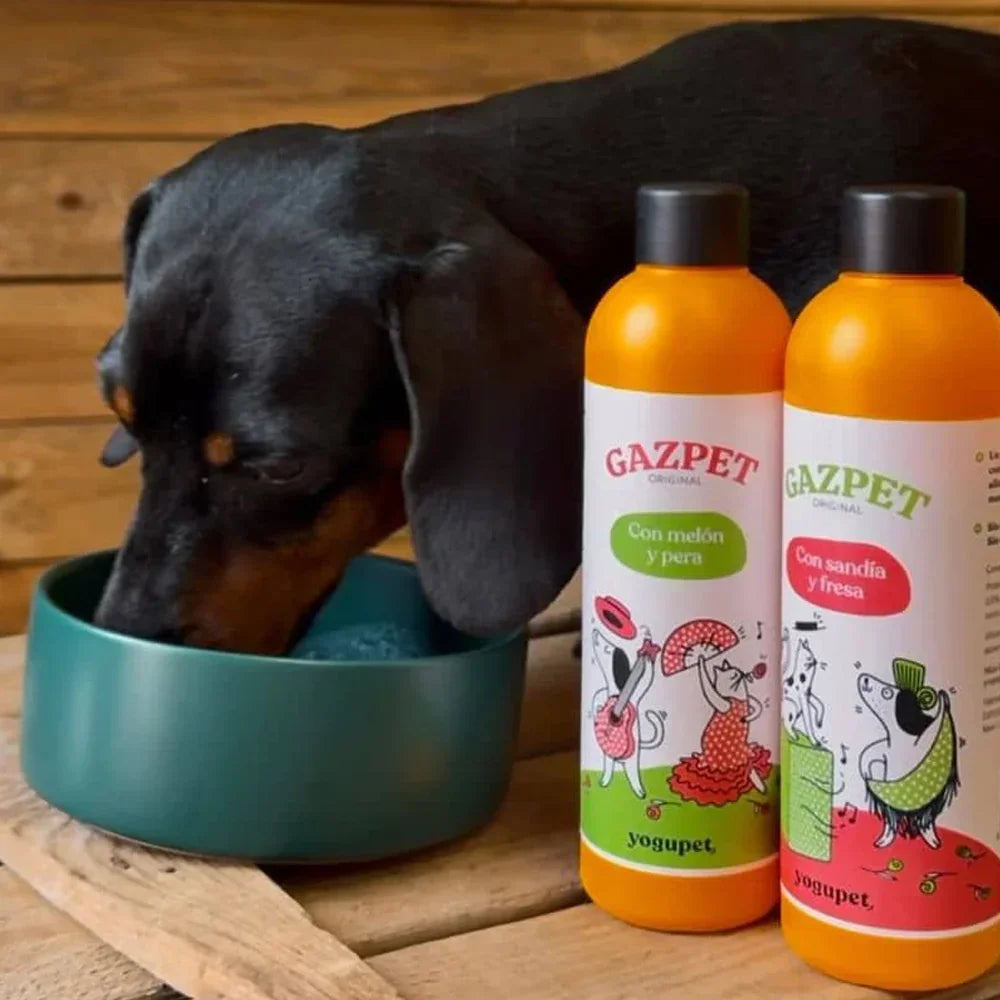 Gazpet Pastèque et Fraise 🍉🍓 – Gaspacho pour chiens et chats 250mL – Yogupet