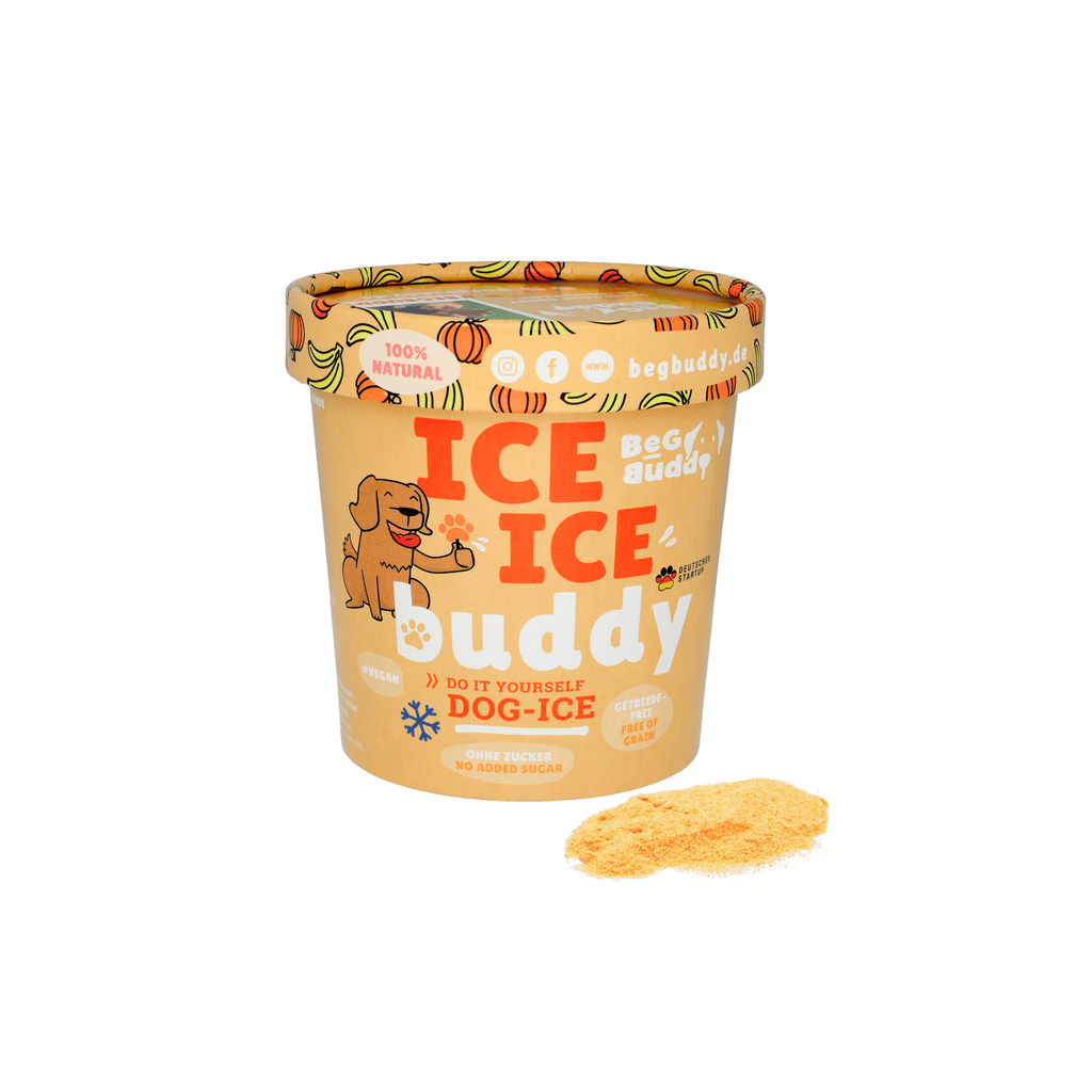 glace citrouille banane pour chien