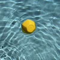 Hive Ball – Balle de jeu – Jouet flottant pour chiens