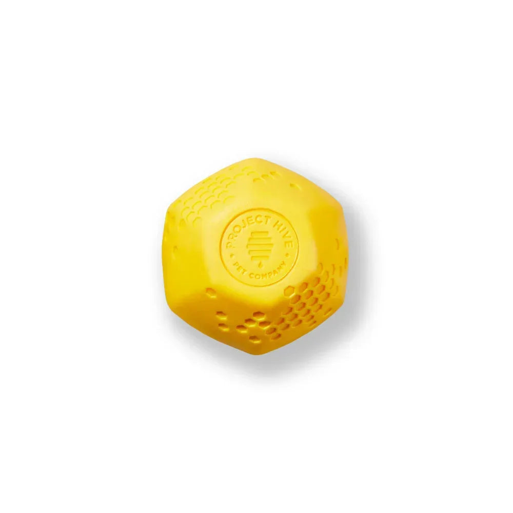 Hive Ball – Balle de jeu – Jouet flottant pour chiens