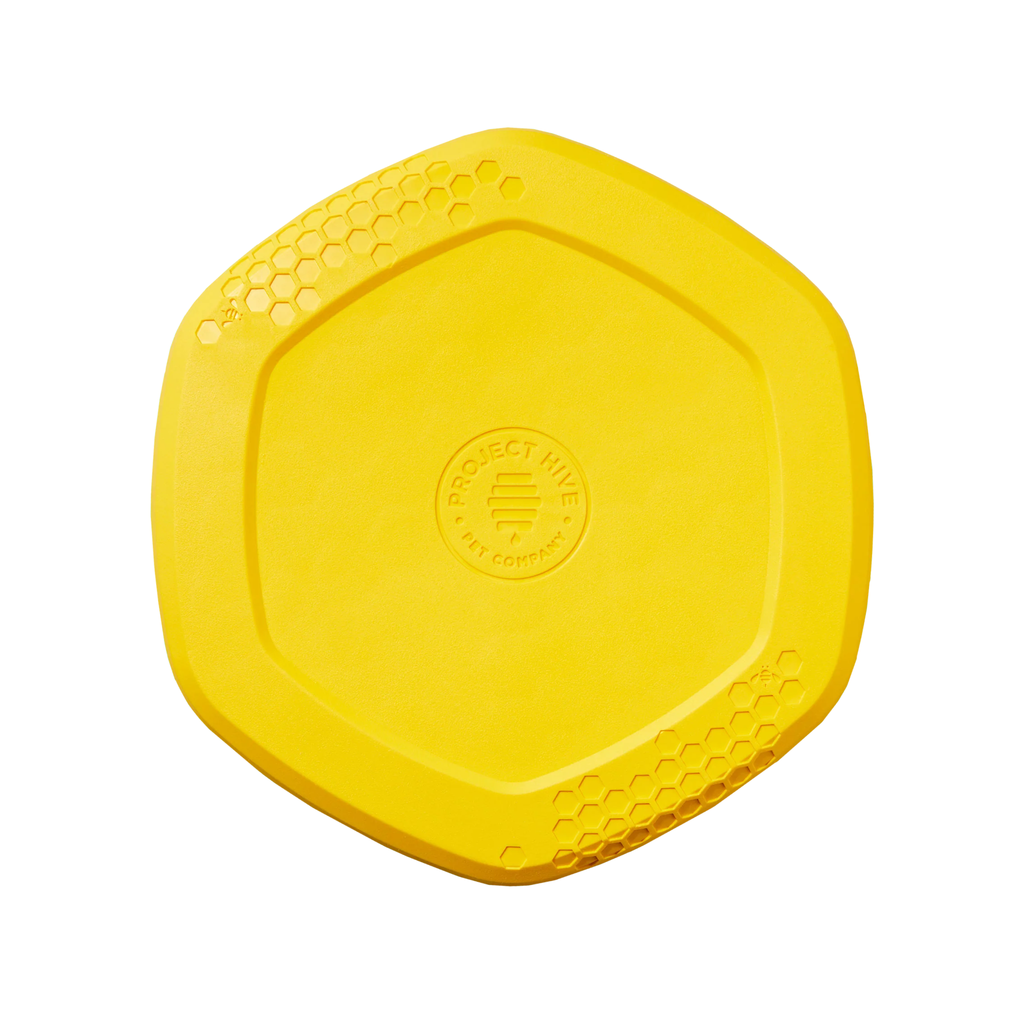 hive disc frisbee jouet flottant pour chien