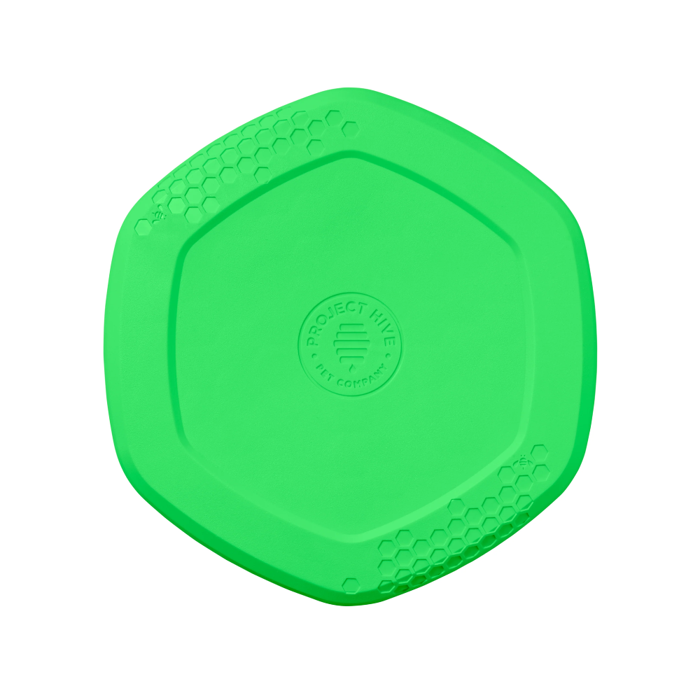 frisbee jouet flottant hive disc