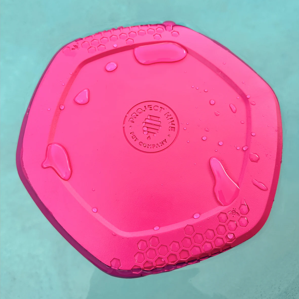 hive dic frisbee jouet flottant pour chien rose eau