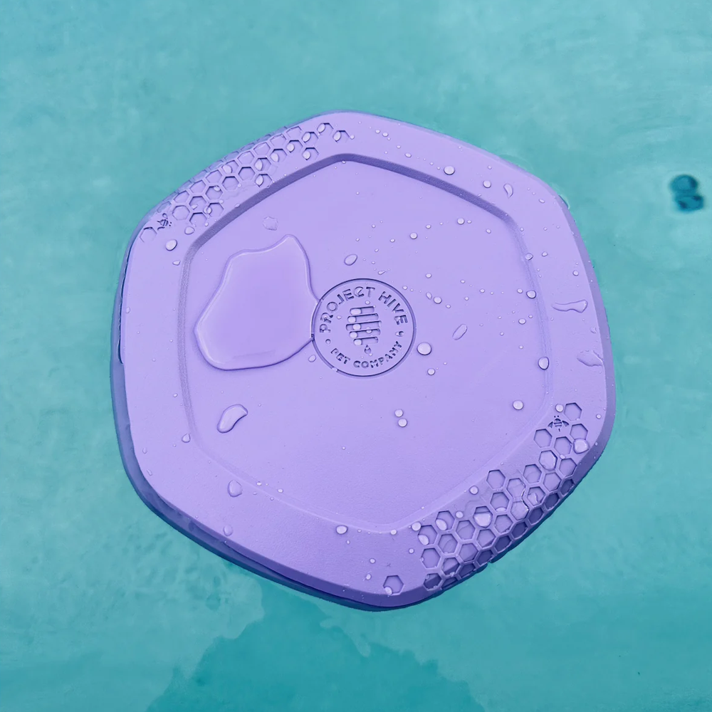 hive disc jouet pour chien mauve eau