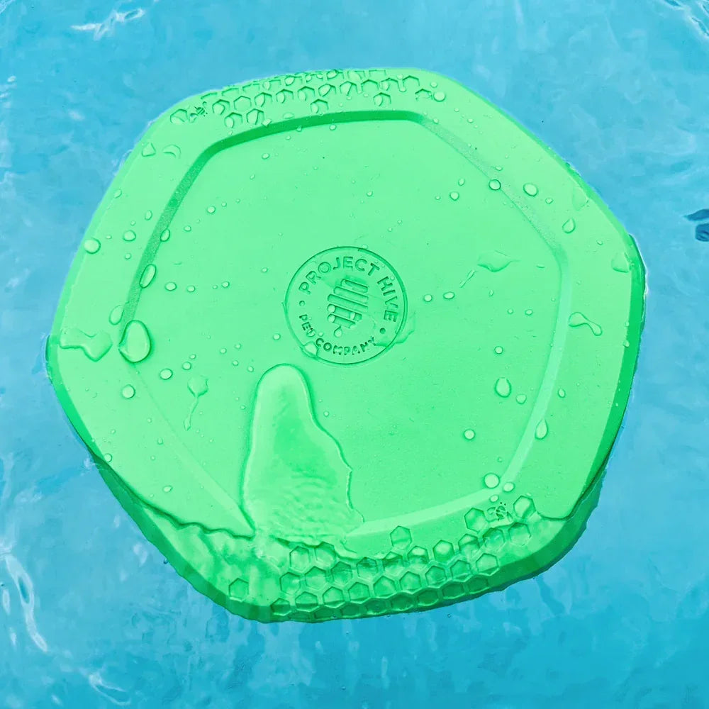hive disc frisbee jouet pour chien vert