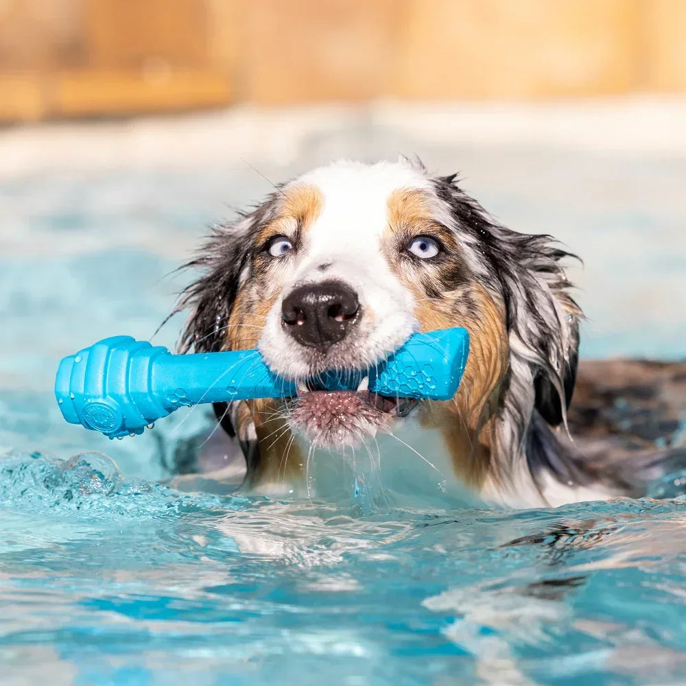 Hive Scent Fetch Stick – Bâton à lancer et à remplir – Jouet flottant parfumé pour chiens