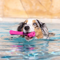 Hive Scent Fetch Stick – Bâton à lancer et à remplir – Jouet flottant parfumé pour chiens
