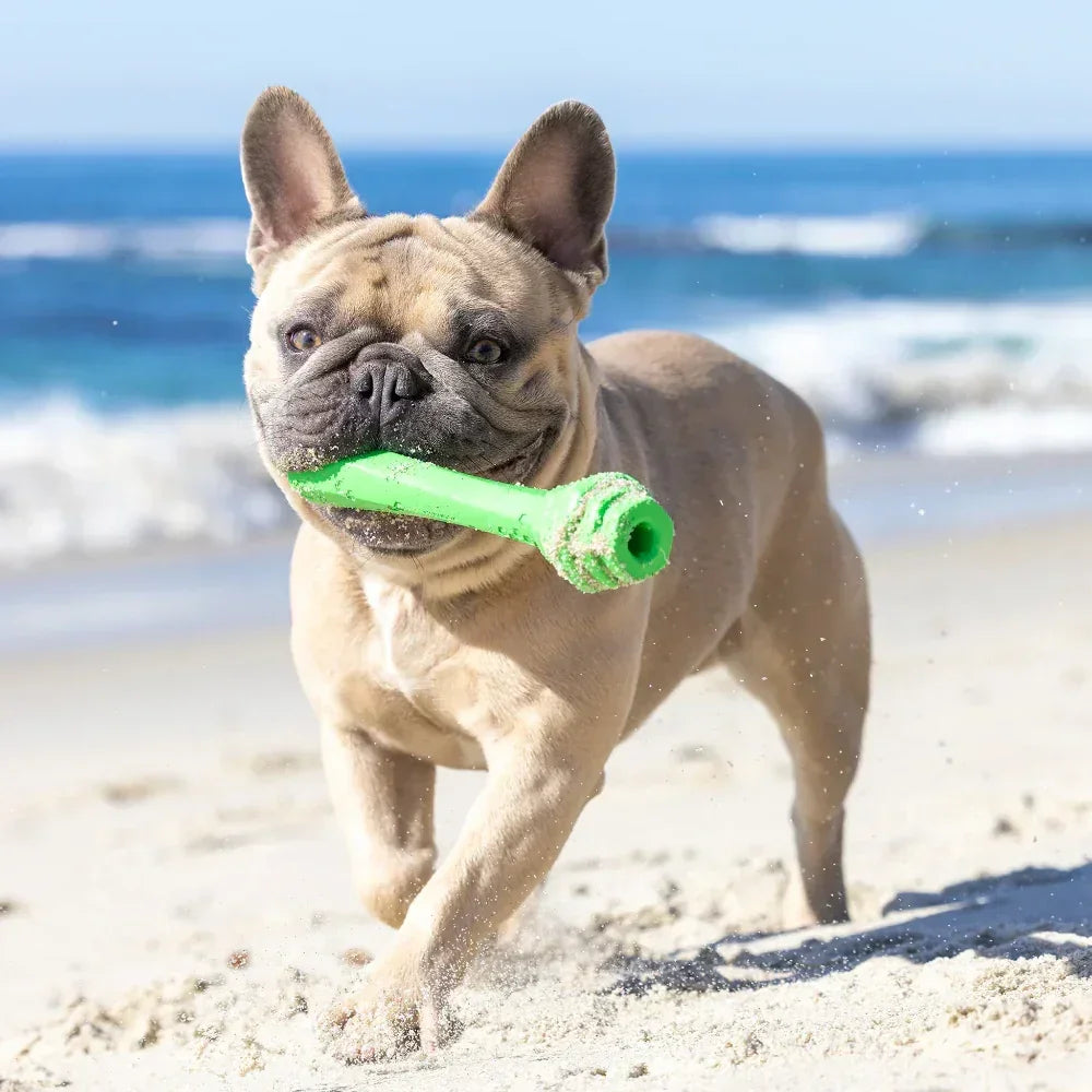 Hive Scent Fetch Stick – Bâton à lancer et à remplir – Jouet flottant parfumé pour chiens