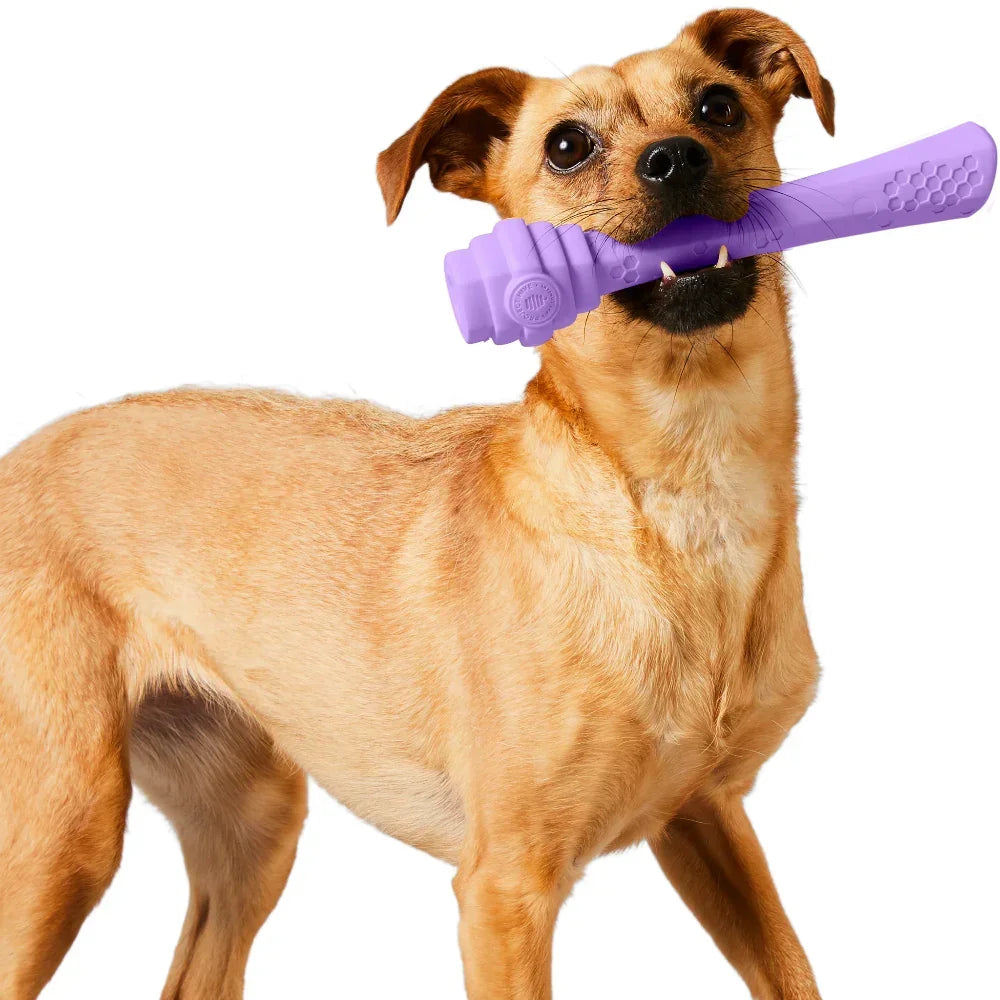 Hive Scent Fetch Stick – Bâton à lancer et à remplir – Jouet flottant parfumé pour chiens