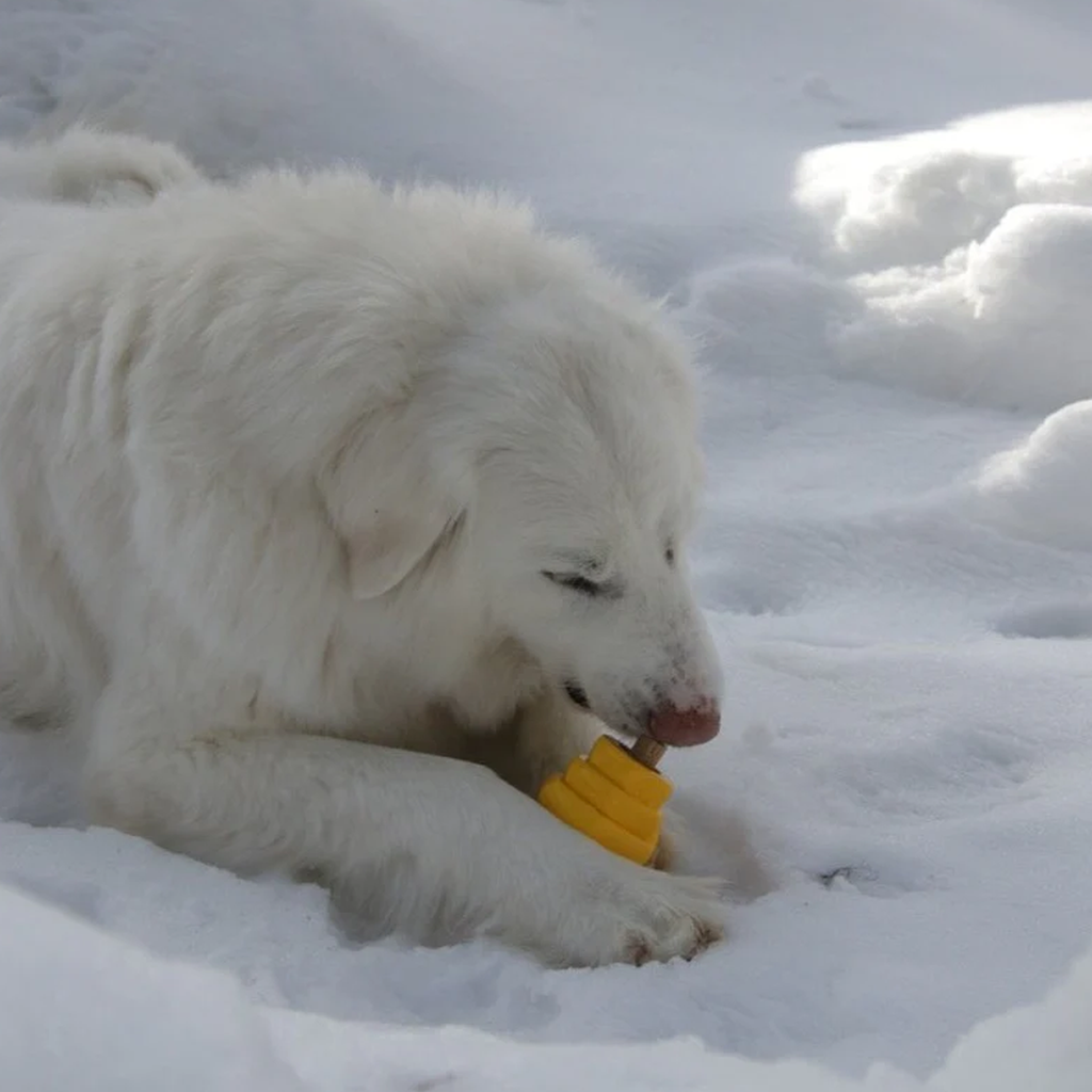 jouet pour chien hive chew toy jaune neige