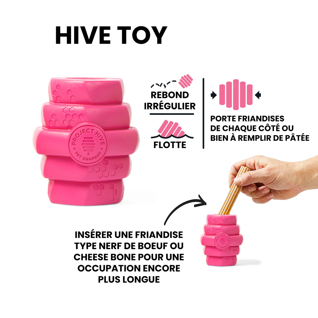 jouet pour chien hive chew toy