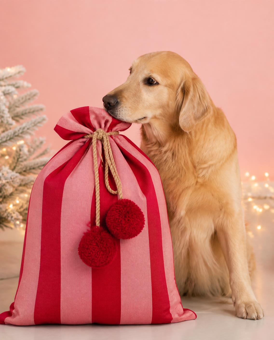 Un golden retriever pose le museau sur La Hotte de l’Avent Image