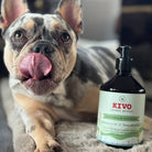 huile moules vertes pour chiens
