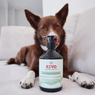 huile moules vertes pour chiens