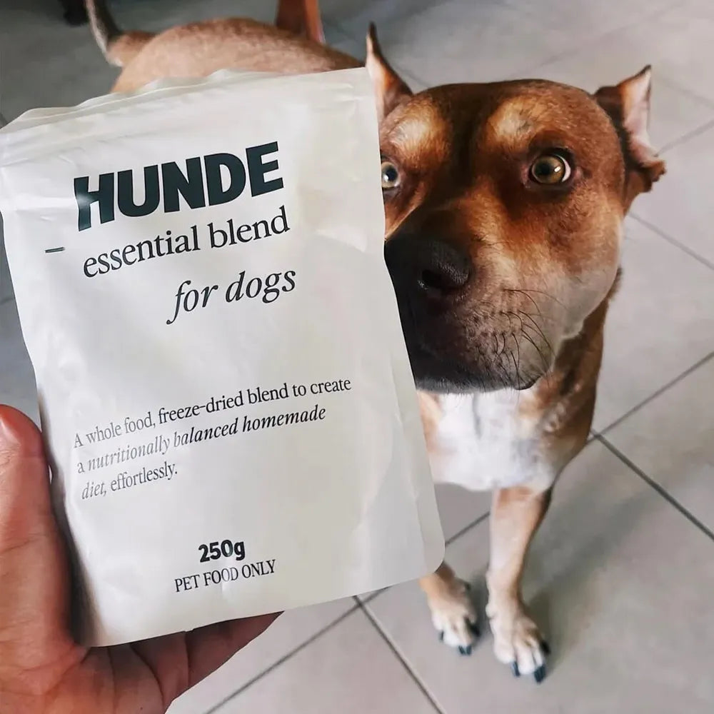 Essential Blend HUNDE – Complément pour ration ménagère – Référence non retenue – Les Disgracieux®