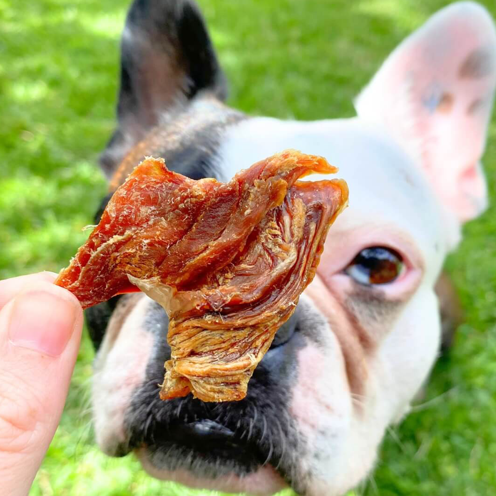 jerky de crocodile friandises naturelles pour chiens