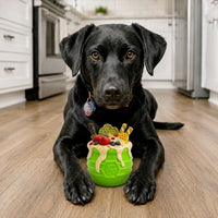 Jouet à remplir Honey Pot Pup-X – Sodapup – Pot à miel