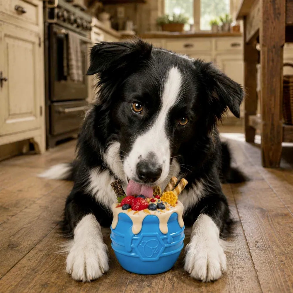 Jouet à remplir Honey Pot Pup-X – Sodapup – Pot à miel
