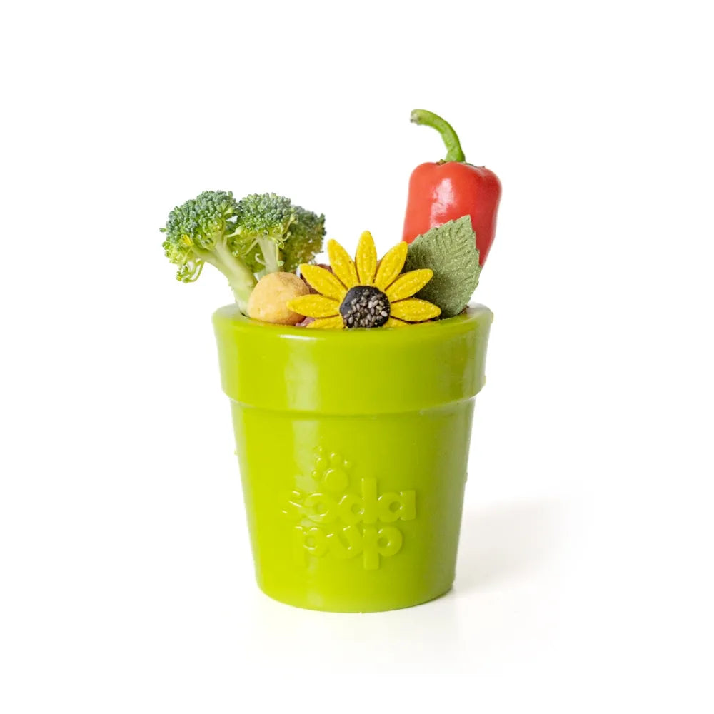 Jouet à remplir Flower Pot – Pot de fleurs – Sodapup