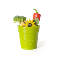 Jouet à remplir Flower Pot – Pot de fleurs – Sodapup