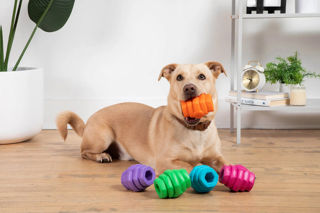 jouets d'occupation pour chiens jouets flottants