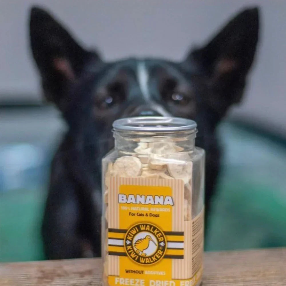 kiwi walker banane pour chiens