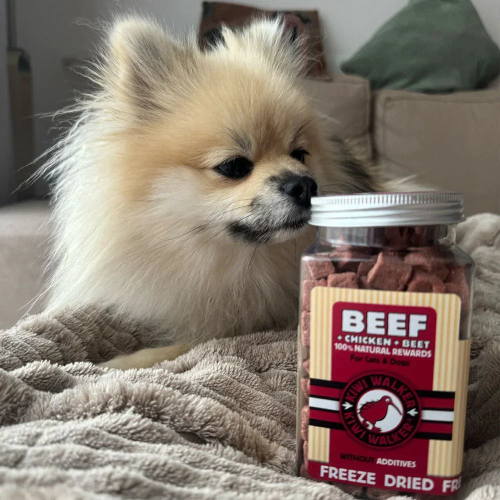 Kiwi Walker boeuf poulet betterave pour chiens