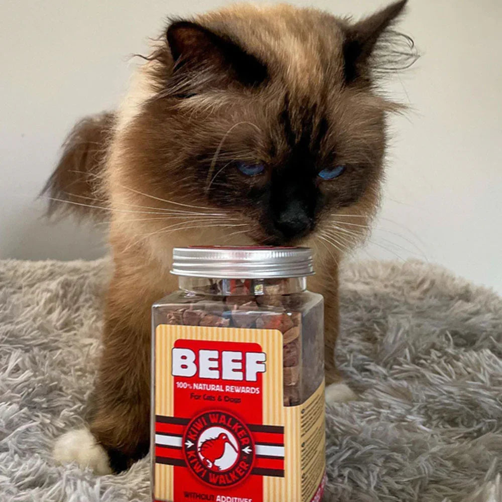 Kiwi Walker boeuf pour chat