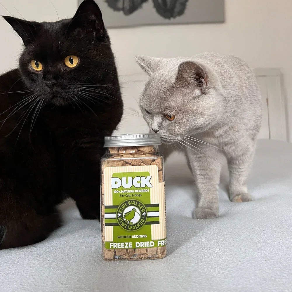 Kiwi Walker pour chat Duck