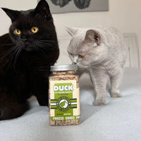 Kiwi Walker pour chat Duck