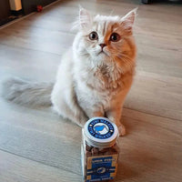 Kiwi Walker pour chats thon