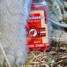 Kiwi Walker fraises pour chien
