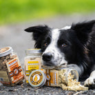 Kiwi Walker poulet épinards carottes pour chien