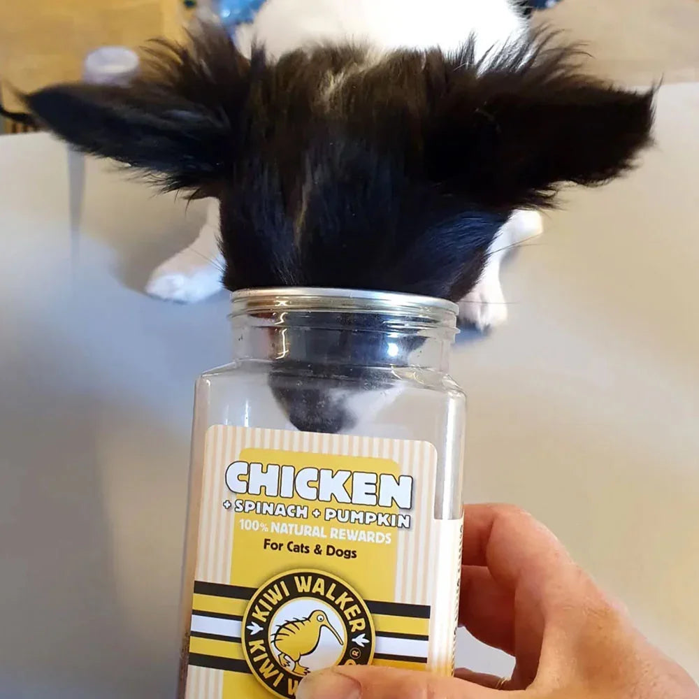 Kiwi Walker poulet epinards citrouille pour chien
