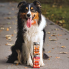 Kiwi Walker Fraises pour chiens A PET STORE