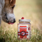 Kiwi Walker pour chiens fraises