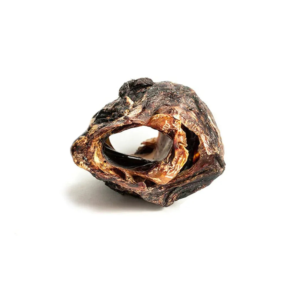 Larynx de boeuf – Mastication gourmande pour chiens – 1 pièce