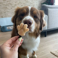 moule à glace pour chien