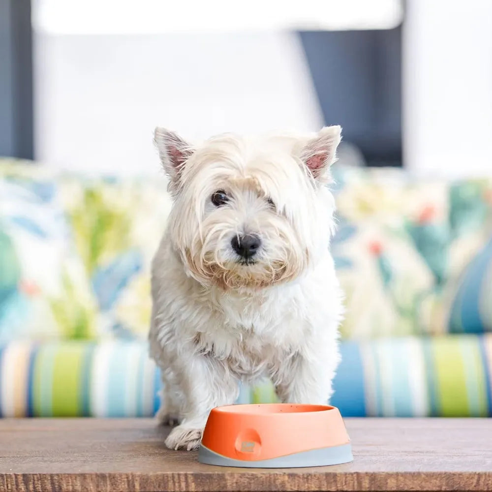 Lickimat OH Bowl – Gamelle à lécher pour chien – S, M et L