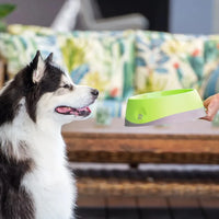 Lickimat OH Bowl – Gamelle à lécher pour chien – S, M et L