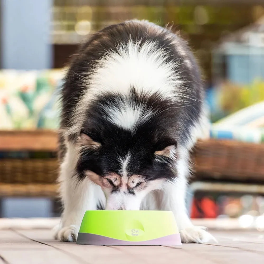 Lickimat OH Bowl – Gamelle à lécher pour chien – S, M et L