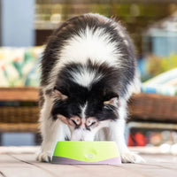 Lickimat OH Bowl – Gamelle à lécher pour chien – S, M et L
